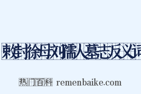 敕封徐母刘孺人墓志反义词是什么意思的图片